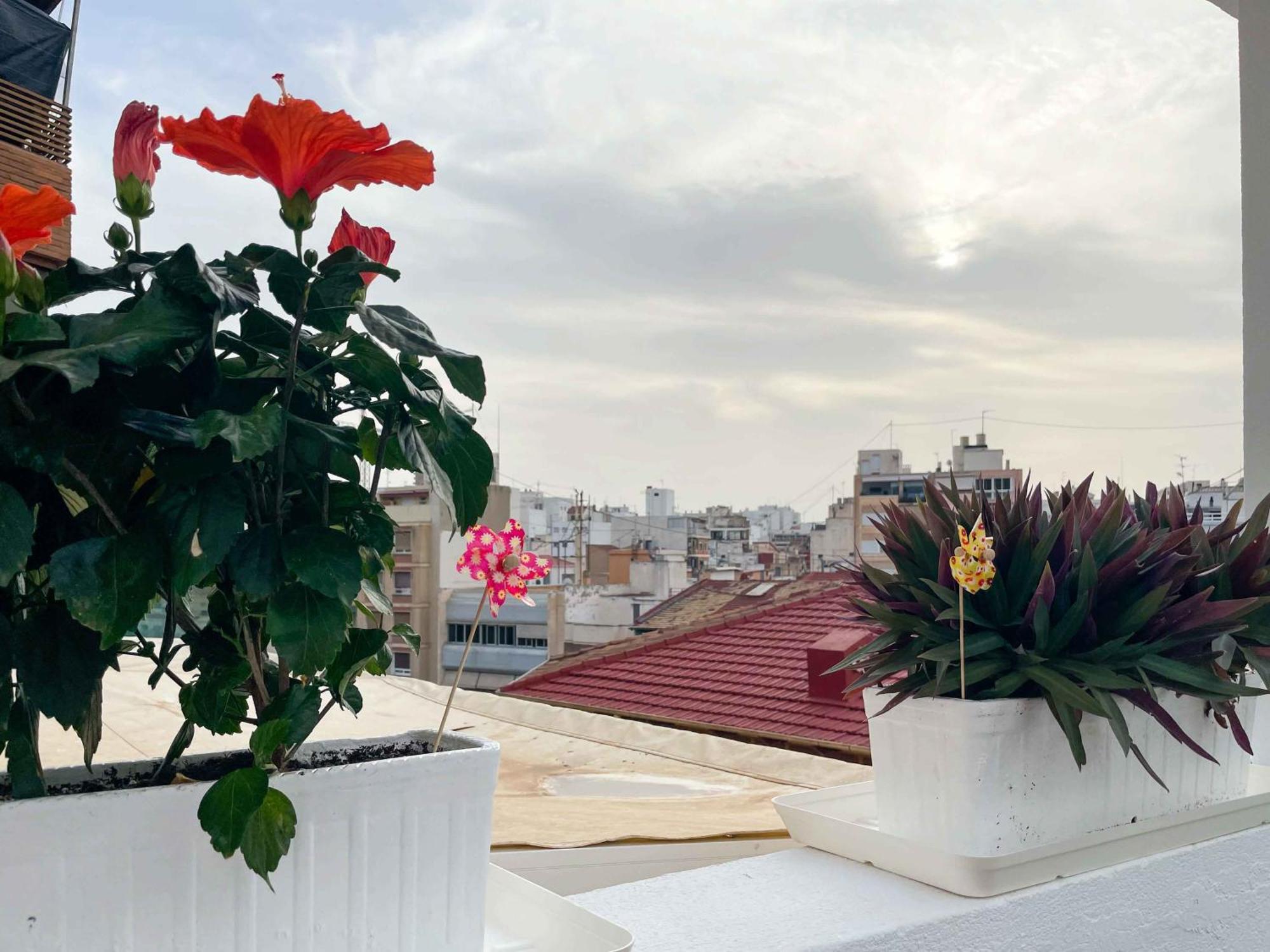 El Atico Del Mercado. Un Lugar Dificil De Olvidar. Alicante Zewnętrze zdjęcie